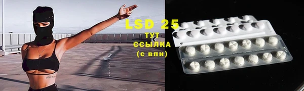 mdpv Белокуриха