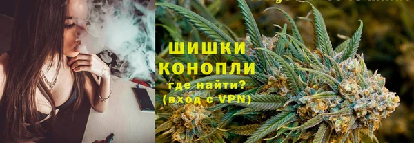 стафф Богородск