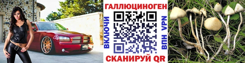 Галлюциногенные грибы GOLDEN TEACHER  omg ТОР  Светлогорск 